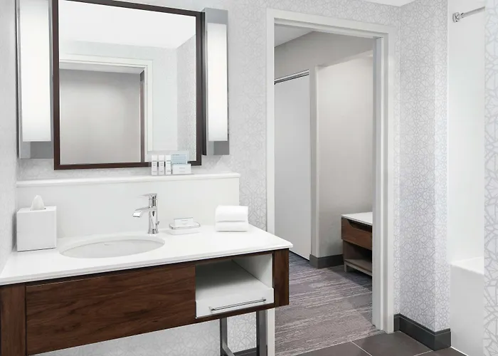 Hampton & Chicago-downtown 3*