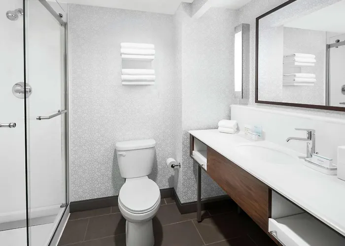 Hampton & Chicago-downtown 3*