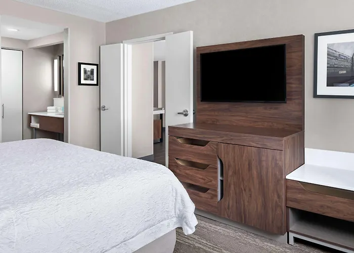 Hampton & Chicago-downtown 3*