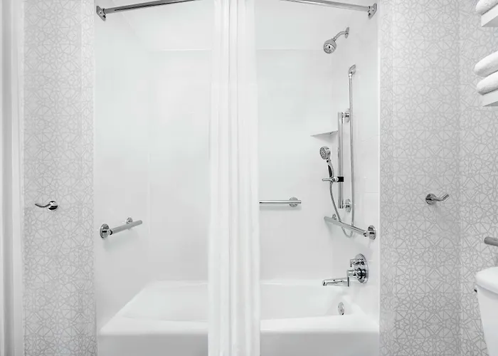 Hampton & Chicago-downtown 3*