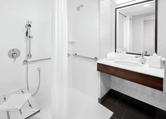 Hampton & Chicago-downtown 3*