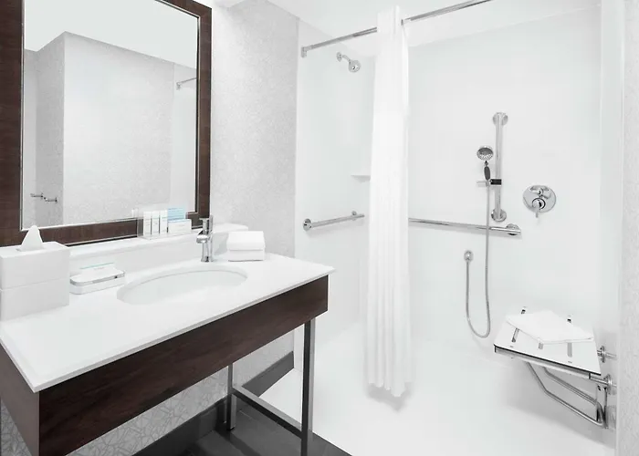Hampton & Chicago-downtown Hotel Chicago