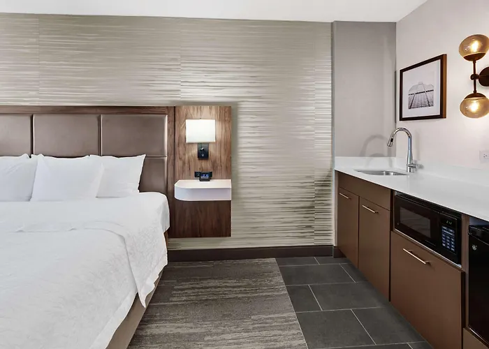 Hampton & Chicago-downtown Hotel