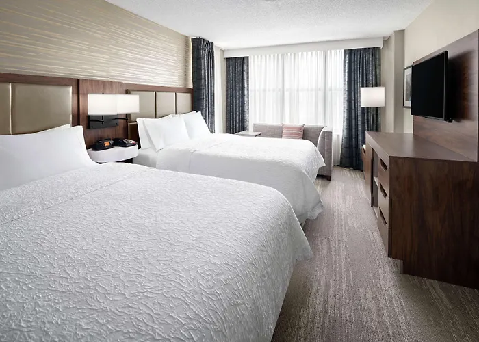 Hampton & Chicago-downtown Hotel