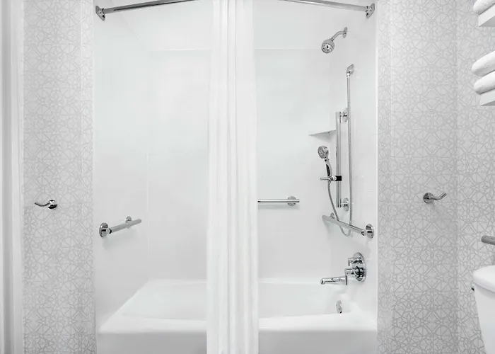 Hampton & Chicago-downtown 3*