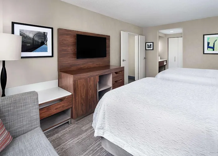 Hampton & Chicago-downtown Hotel 3*