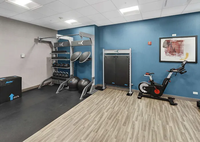 Hampton & Chicago-downtown Hotel 3*
