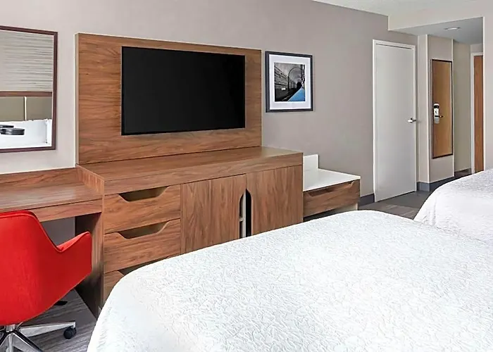 Hampton & Chicago-downtown Hotel