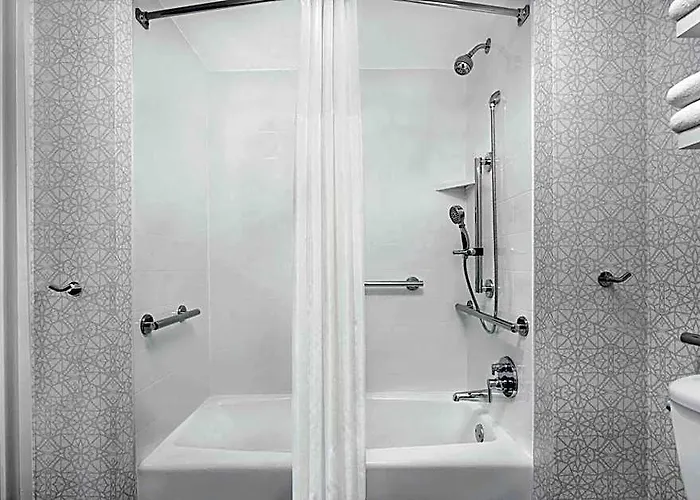 Hampton & Chicago-downtown Hotel 3*