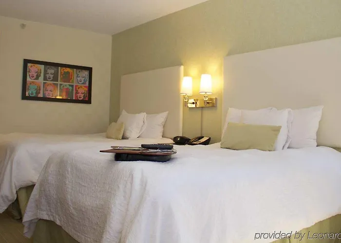 Hampton & Chicago-downtown 3*