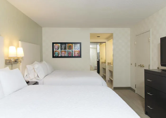 Hampton & Chicago-downtown Hotel