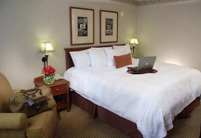 Hotel Hampton & Chicago-downtown 3*
